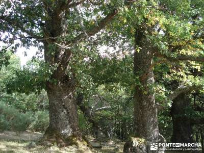 Montaña palentina;revistas senderismo rutas excursiones tiendas de montañismo en madrid